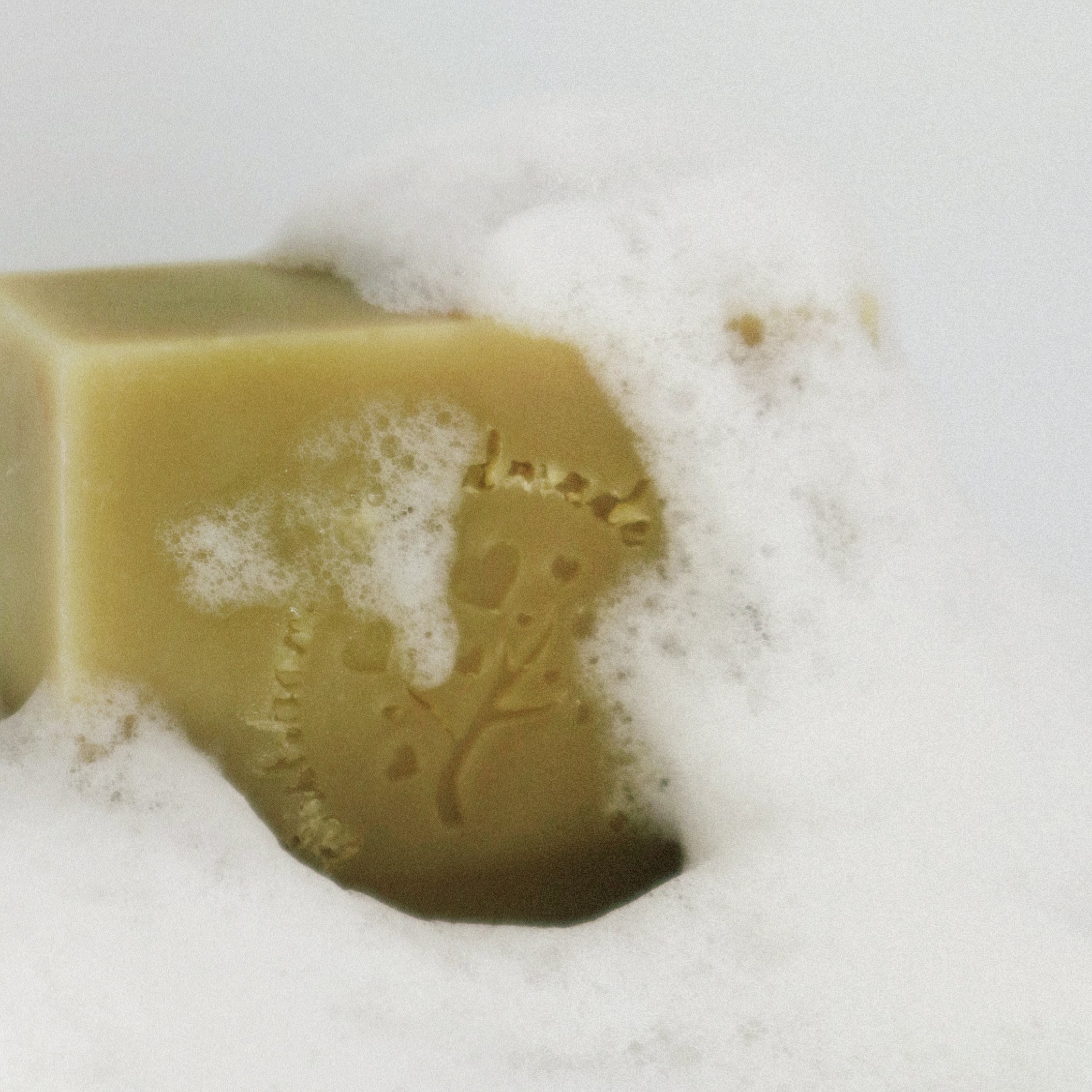 AVOCADO GOAT MILK SOAP